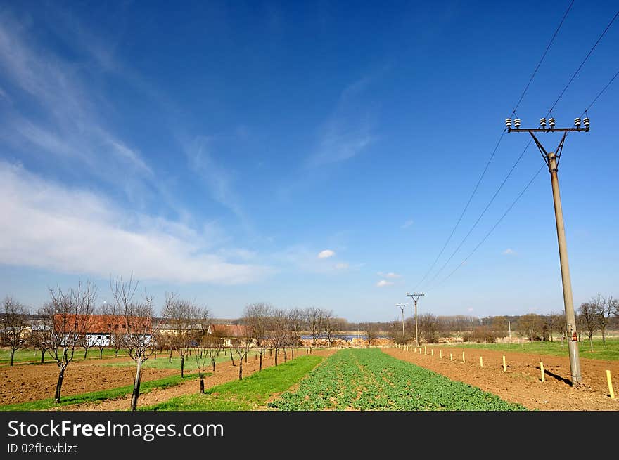 Countryside