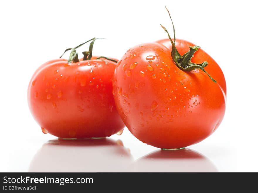 Tomatoes on a white background