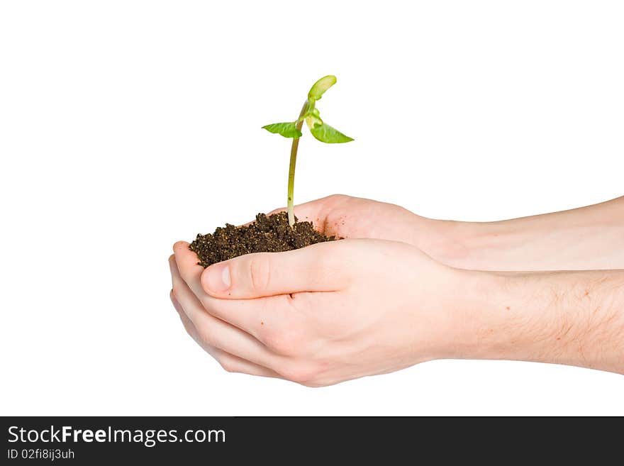 Two hands with a plant and dirt