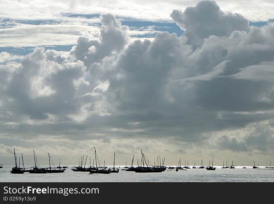 Boats Gathered off the Shore of Zanzibar