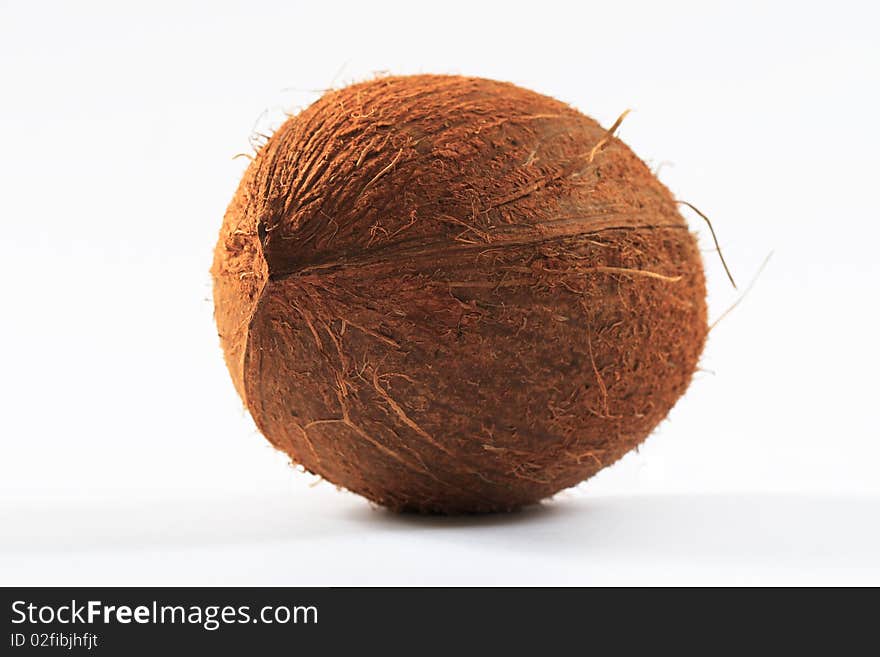 Coconut on white background, closeup