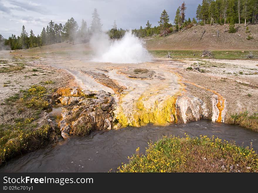 Geyser Erupts