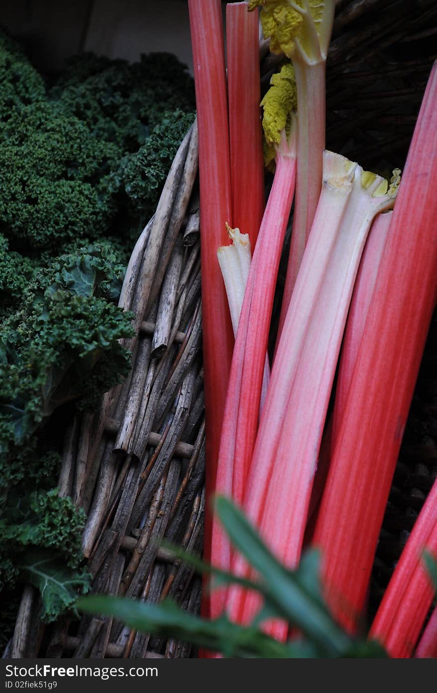 Rhubarb in a basket with curly leaf lettuce. Rhubarb in a basket with curly leaf lettuce.