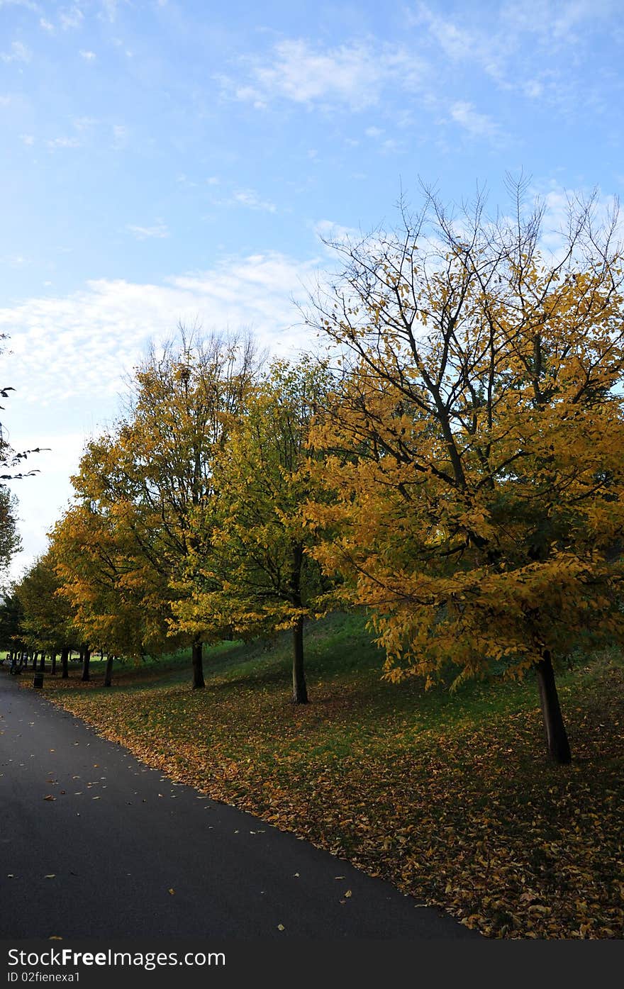 Autumn path