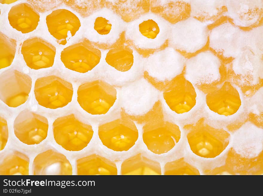 Background with golden cells of a honeycomb. Background with golden cells of a honeycomb