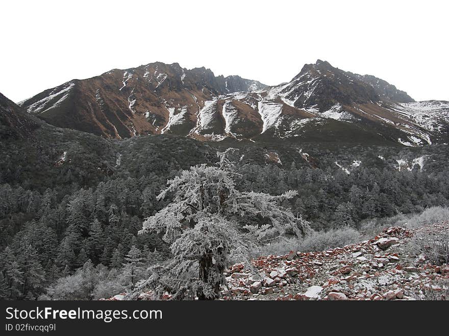 Hailuogou Peak scenery