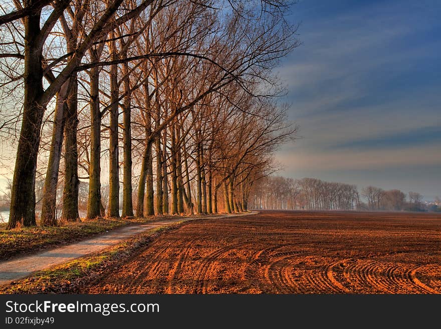 Avenue of The Trees in sunrise