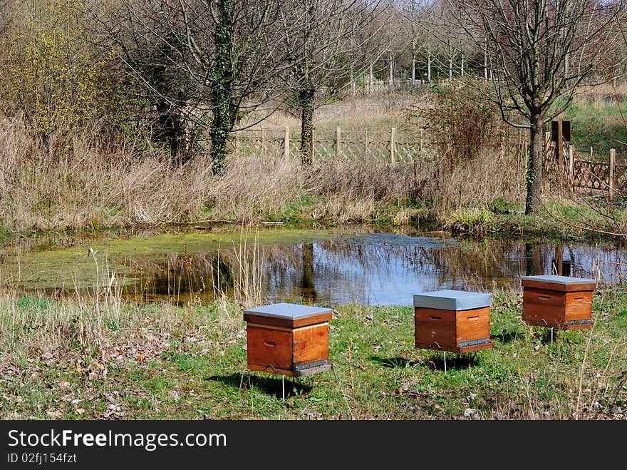 Water And Boxes In The Park