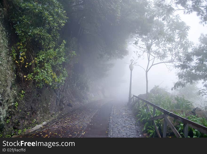 Misty road