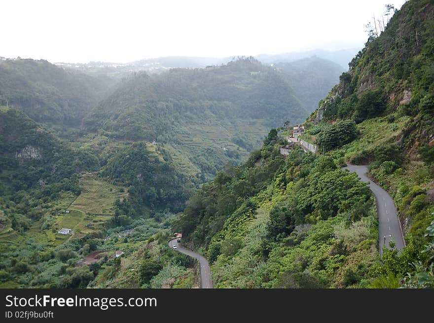 Madeira Landscape