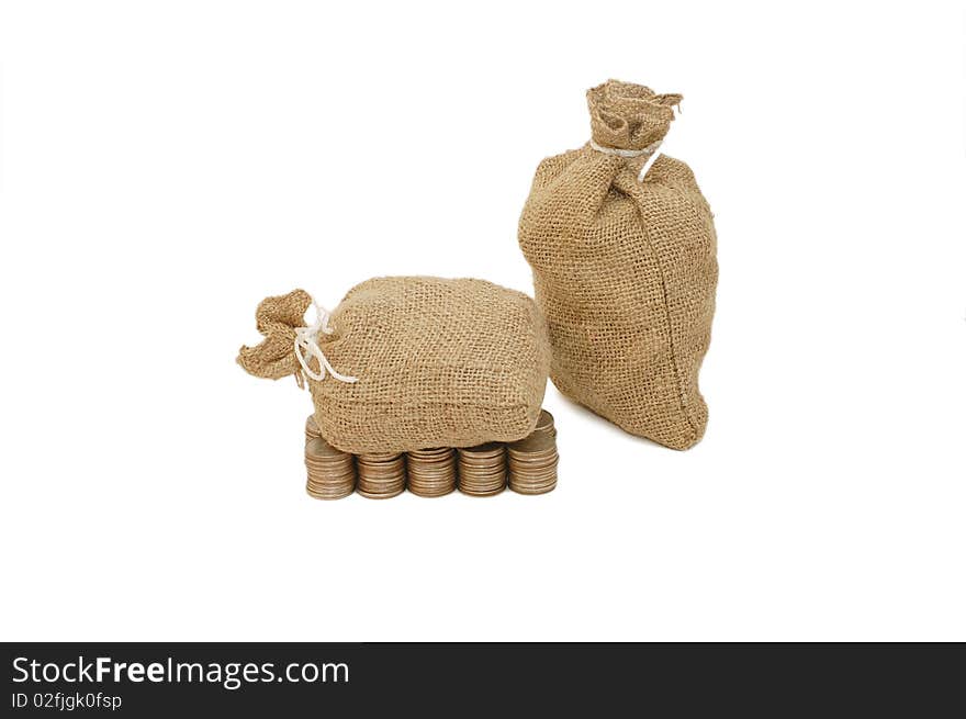 Money coins in bag