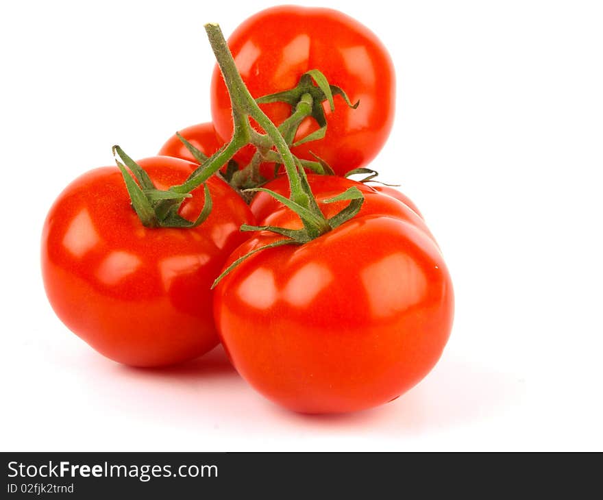 Fresh tomatoes. Close up on white background