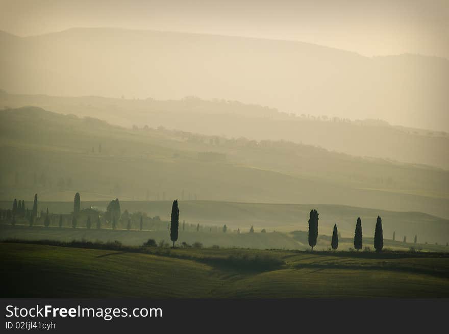 Tuscanian landscape