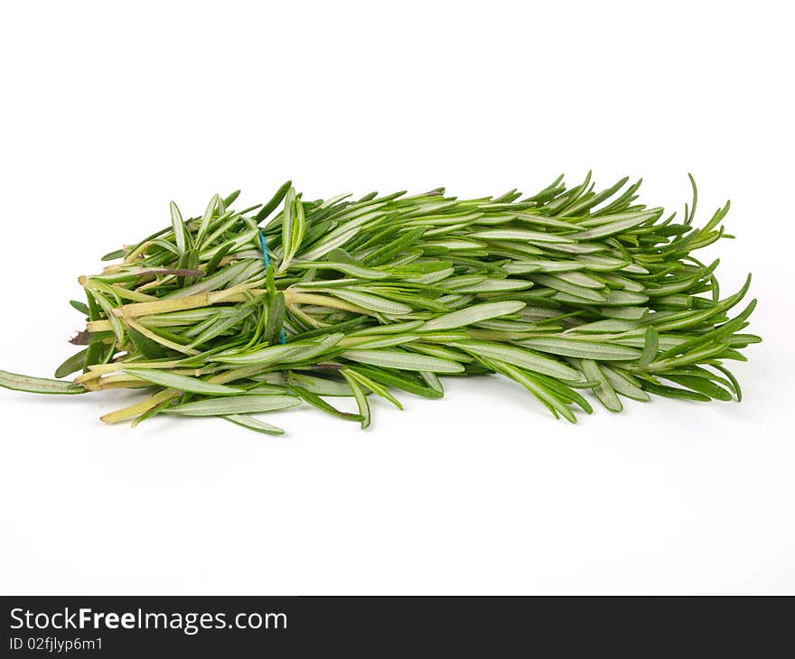 Rosemary Herb