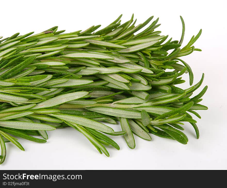 Rosemary herb