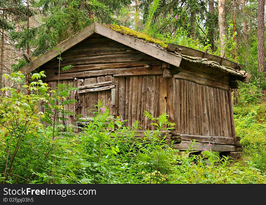 Old finnish barn. Summer season. Forest in background