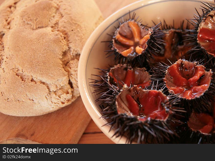 Plate of raw sea urchins with homemade bread