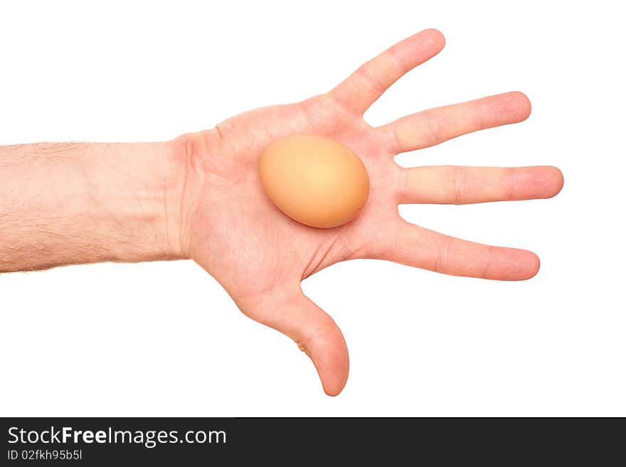 Egg in a hand on a white background