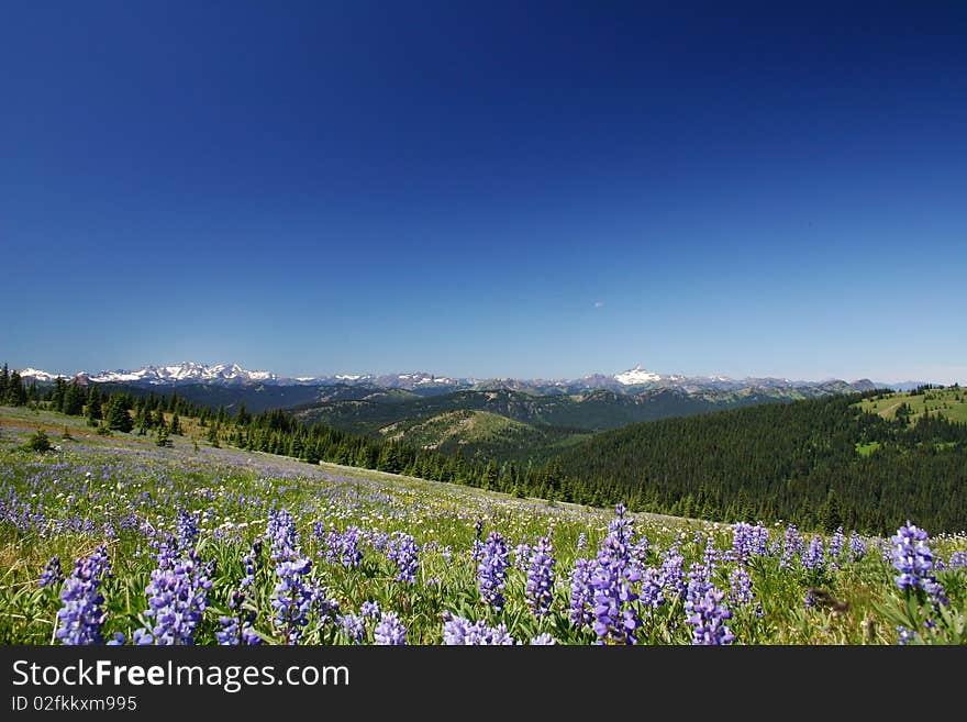 Summer hiking view from manning park. Summer hiking view from manning park.