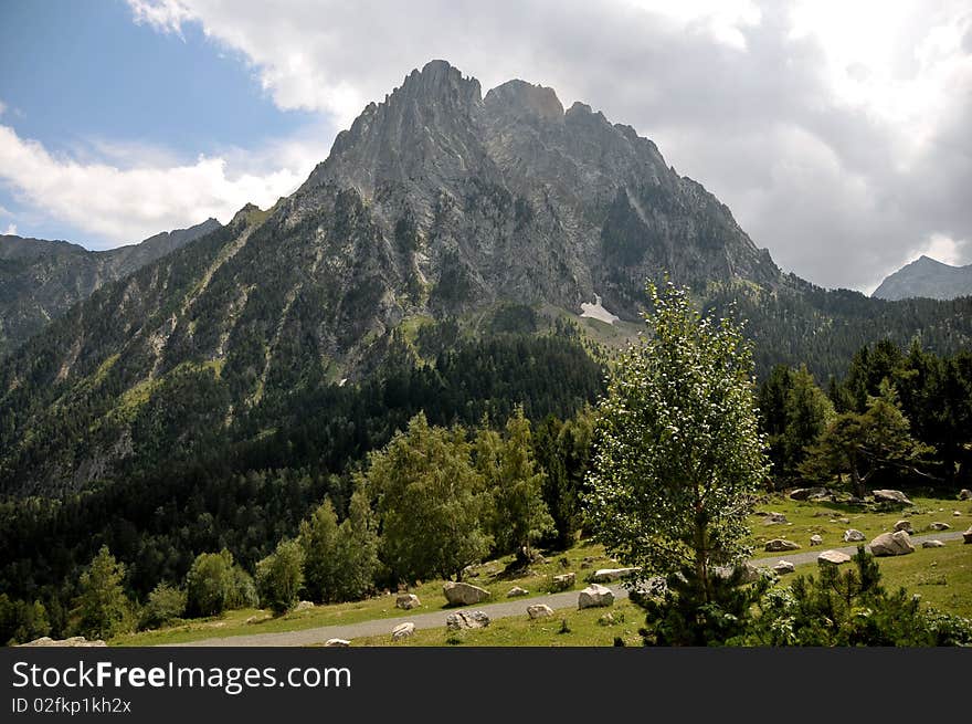 Pyrenees