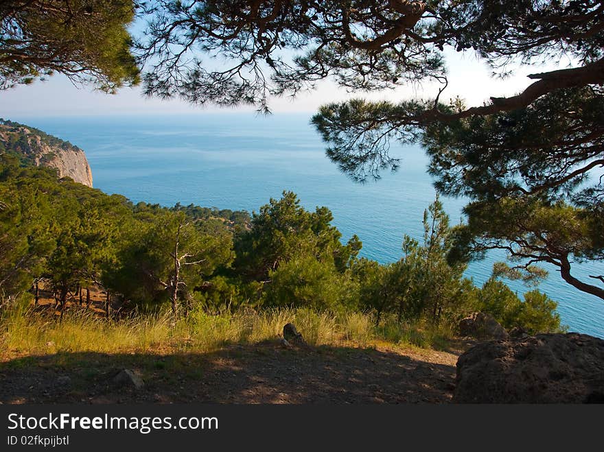 Sea coastline