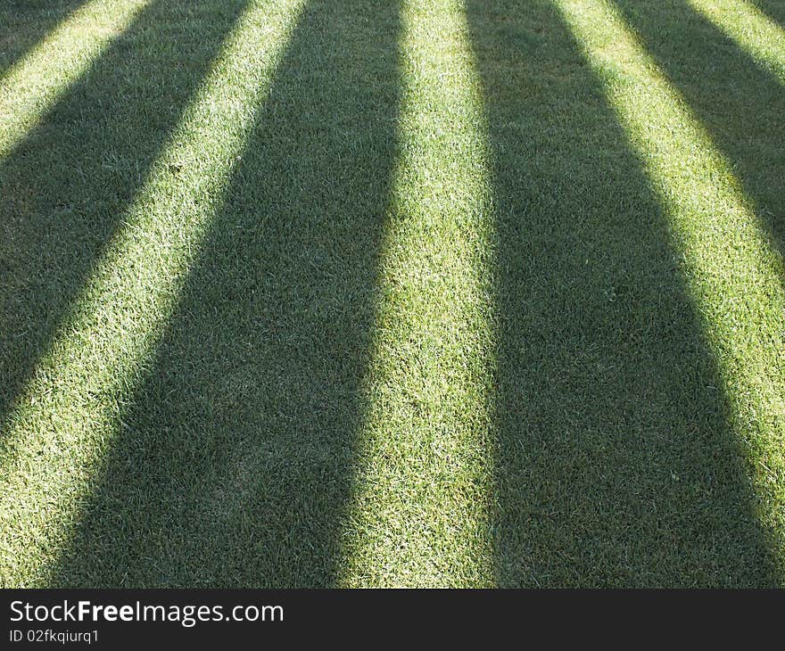 Convergent perspective shadows on grass background