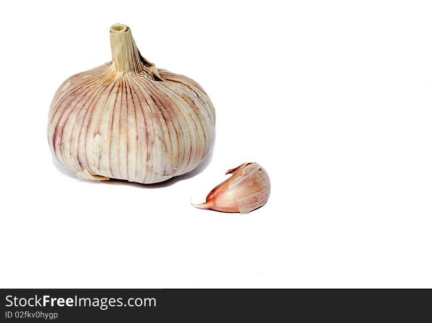 Garlic