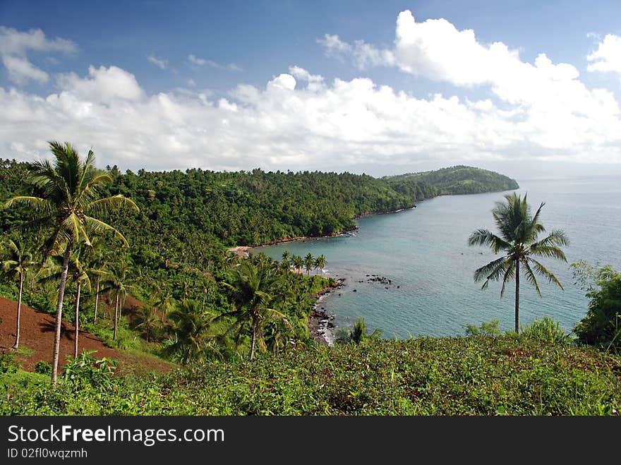 Tropical Hills Overlooking a Sea Cove