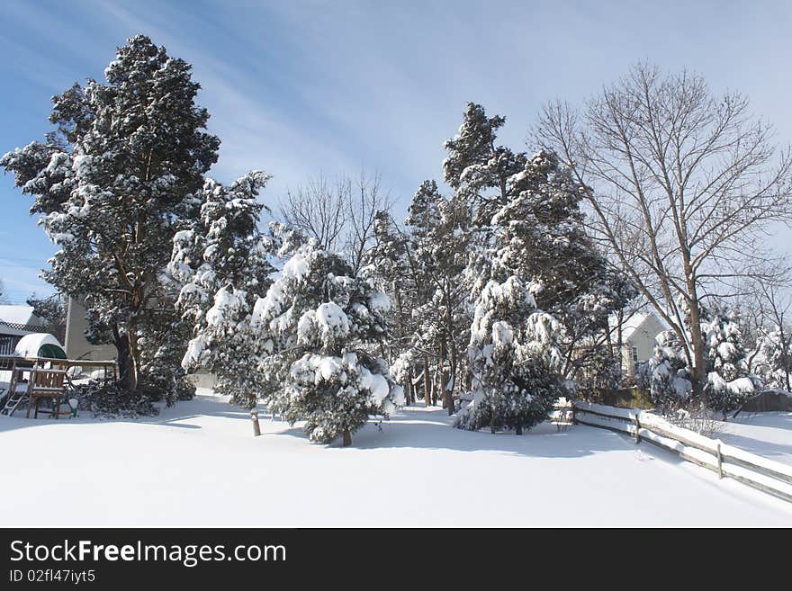 Beautiful shot of our backyard after a record snowfall around DC area during 2009-2010 winter. Beautiful shot of our backyard after a record snowfall around DC area during 2009-2010 winter.