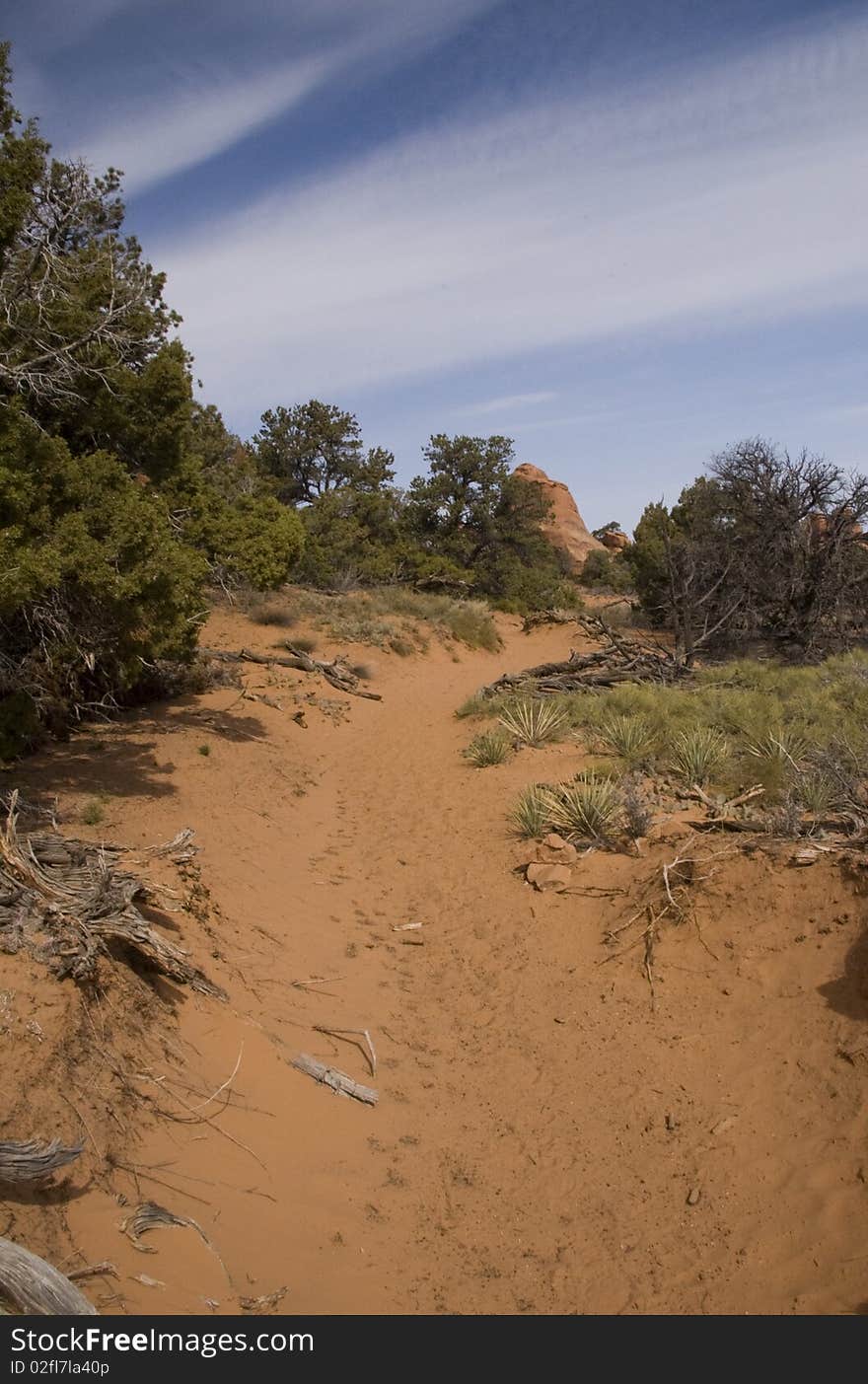 Deserted Trail in the backcountry of Arches