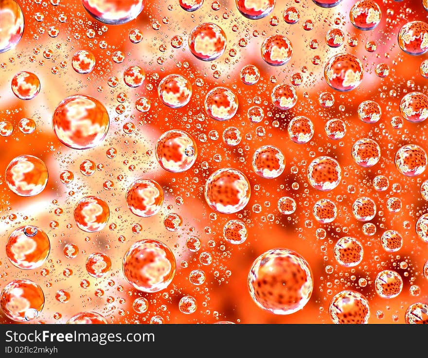 Autumn leaves in water drops as background