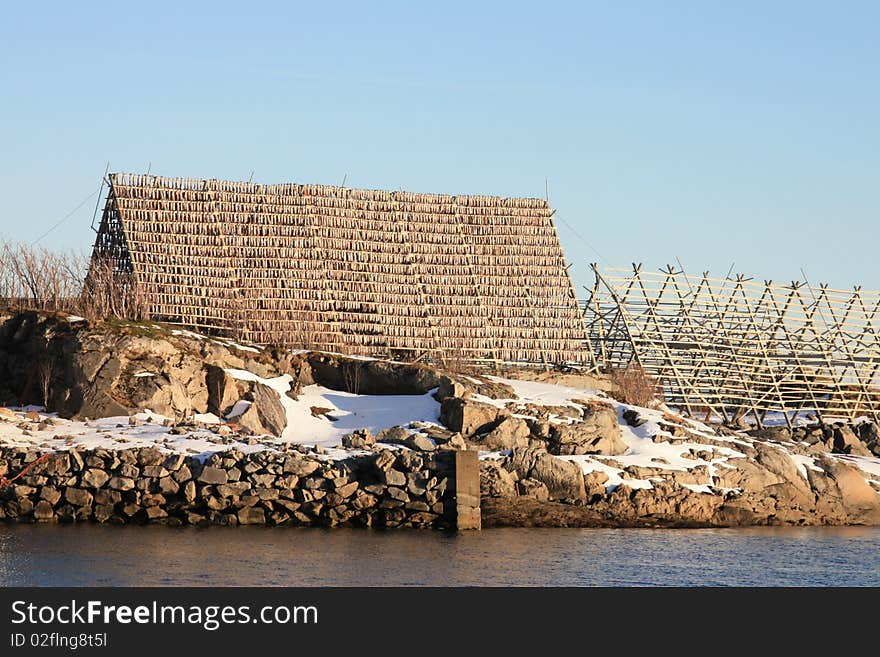 Stockfish in Svolvaer