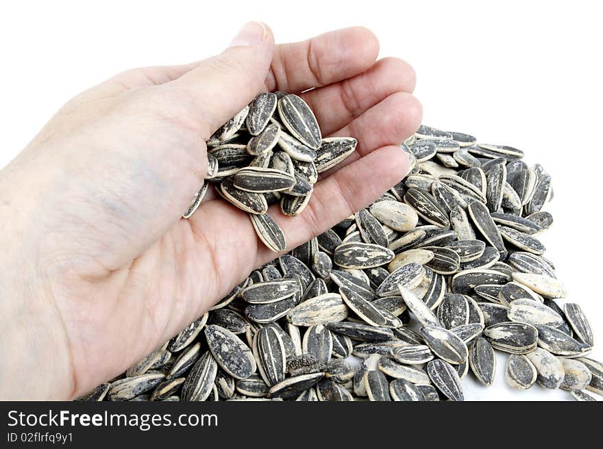 Hand with sunflower seeds background