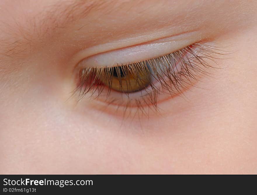 Closeup view of eyelashes of a child with soft focus on eye