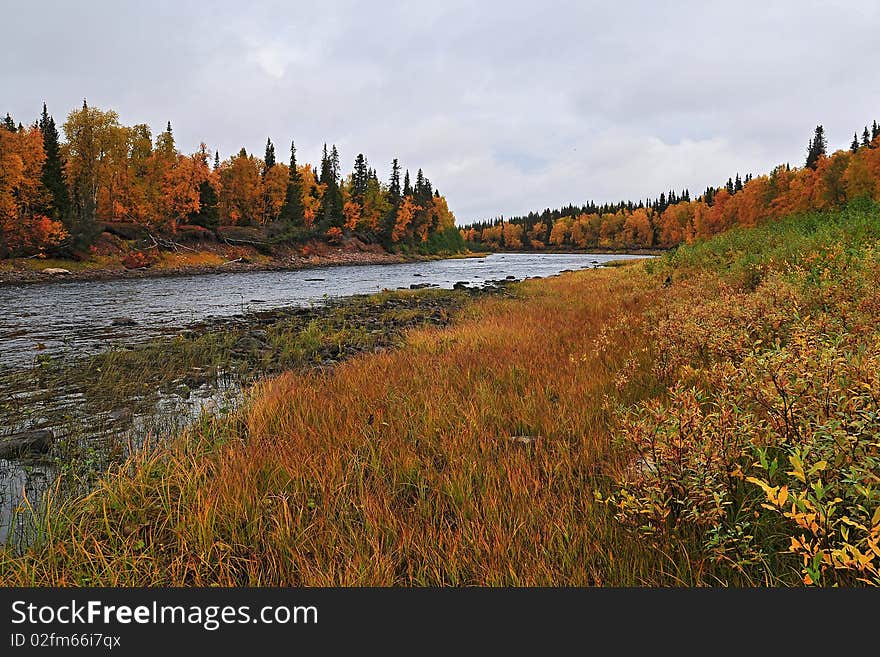 An autumn at the river 1