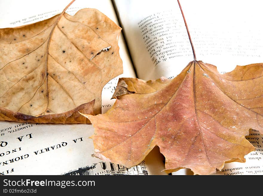 Still life on the book can used as a background. Still life on the book can used as a background