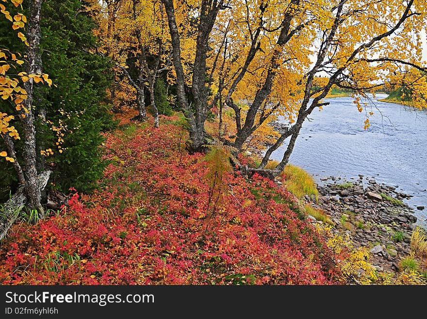 An autumn at the river 4