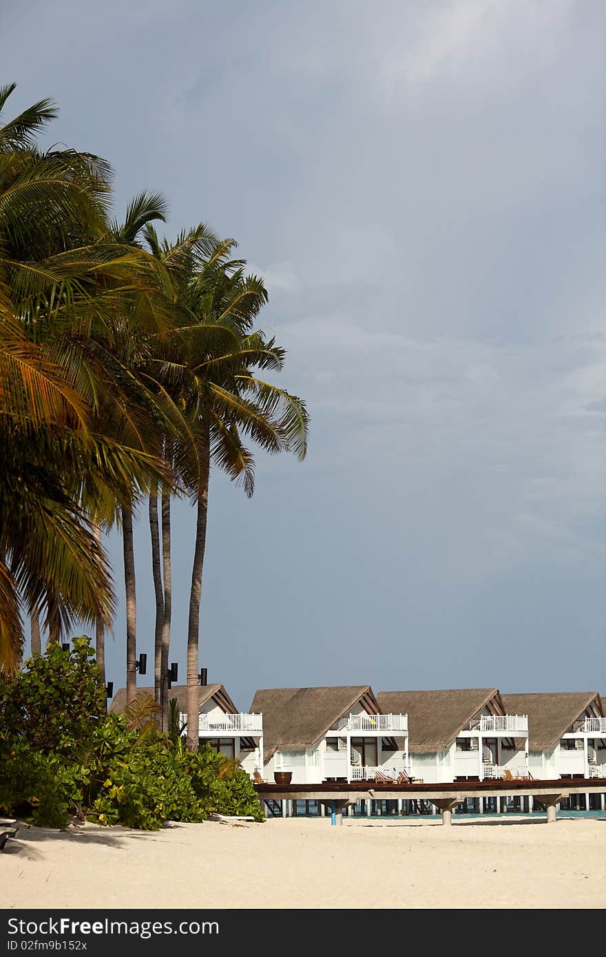 Palm tree and villa