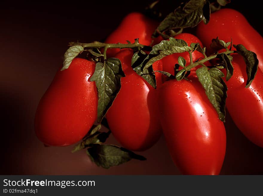 Small bunch of red tomatoes. Small bunch of red tomatoes