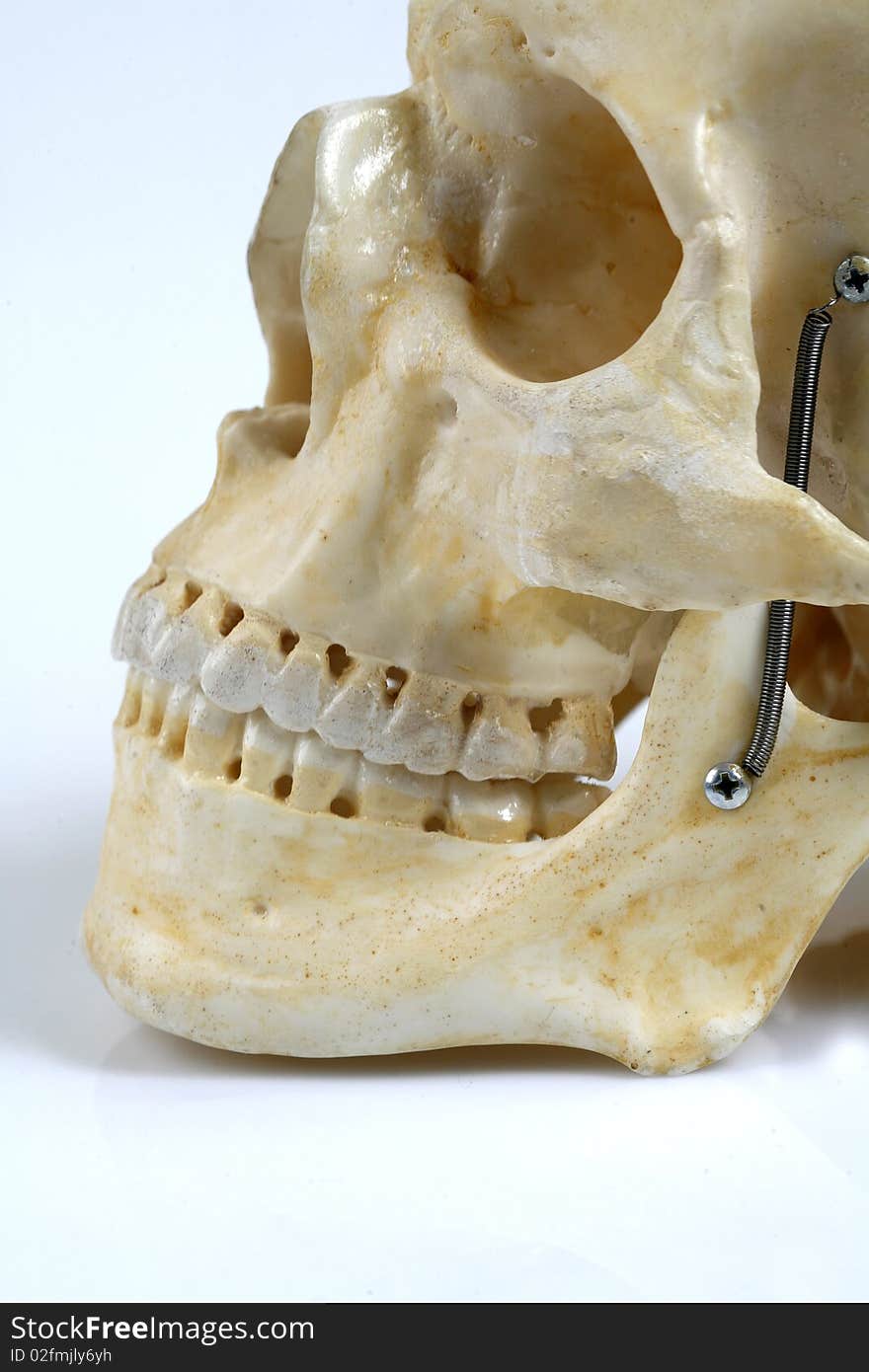 The image of a human head model construction. The image of a human head model construction