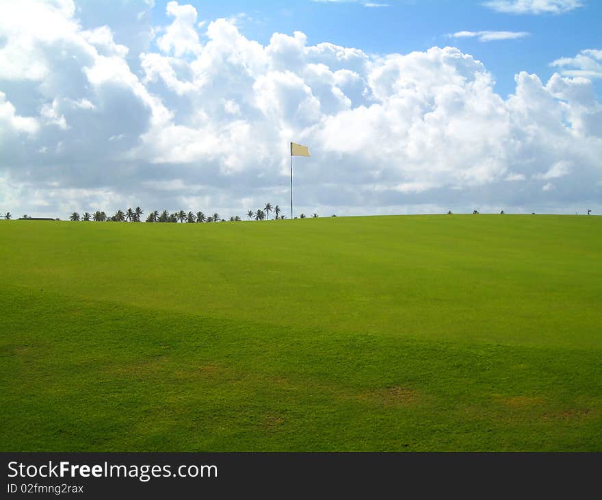 Palm trees on luxury golf course at the Caribbean