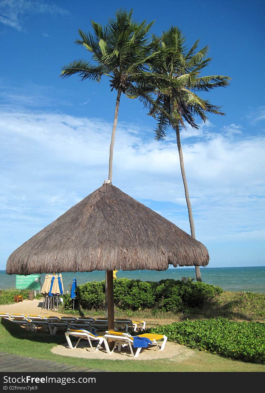 Outdoor resort beach with palm trees at the Caribbean