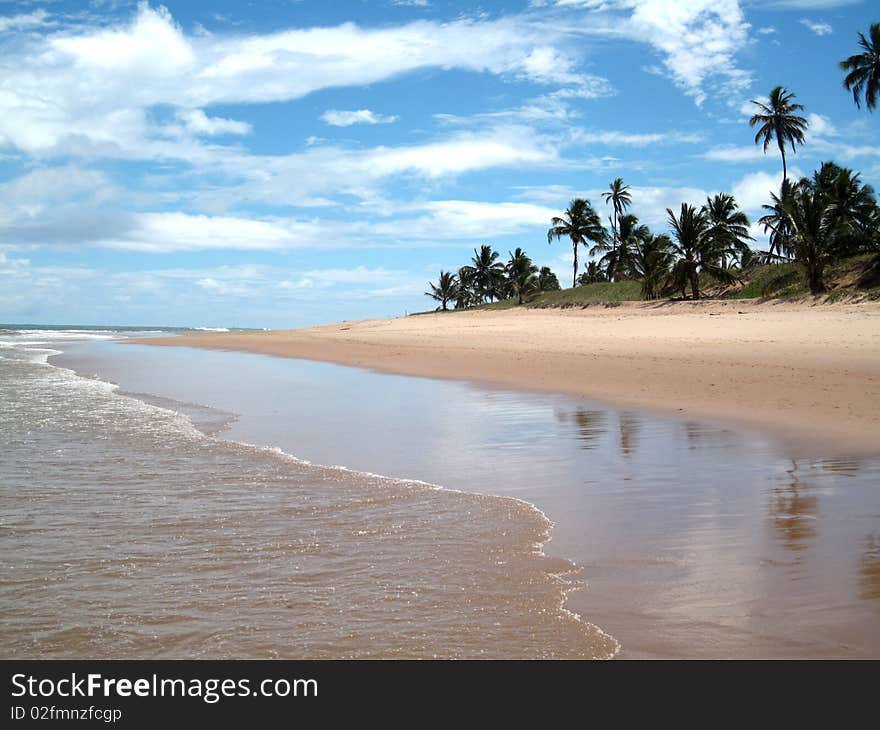 Beautiful scene of a Caribbean beach