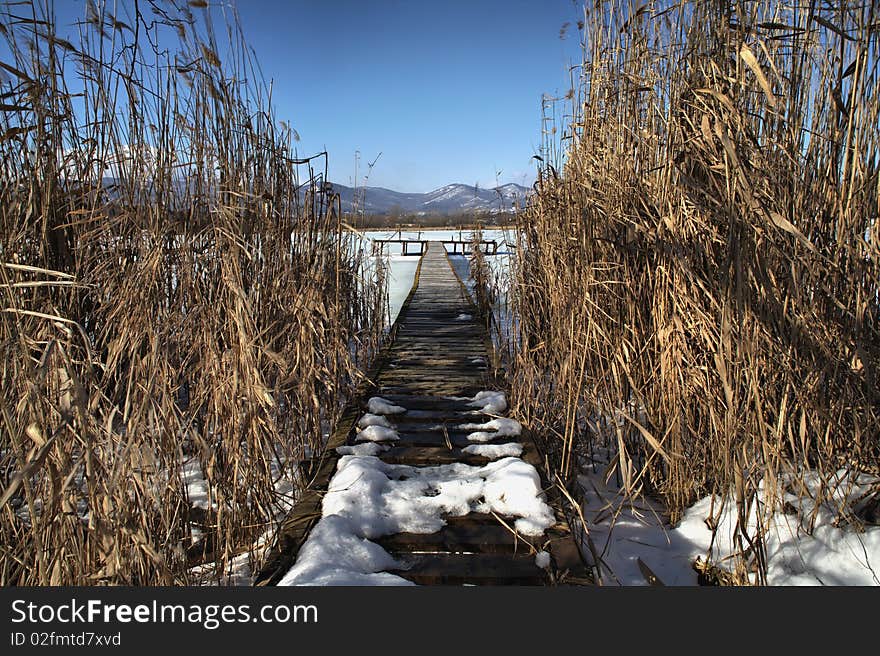 Pier in the reed