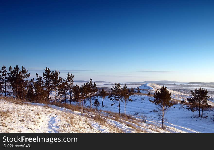 Winter landscape