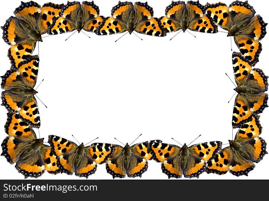 Butterfly Frame