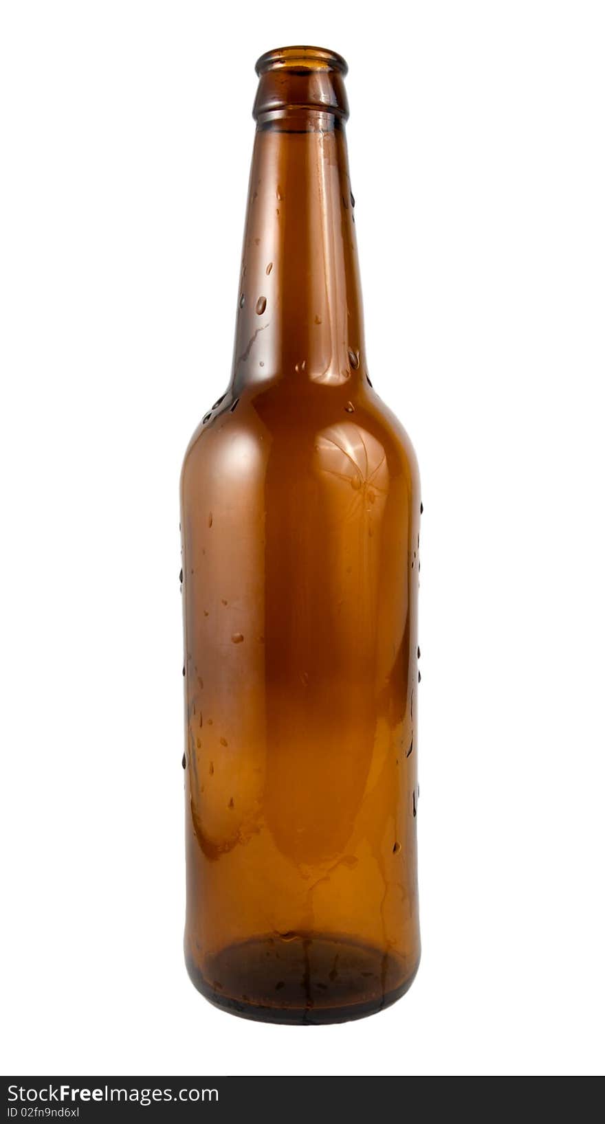 Beer Bottle