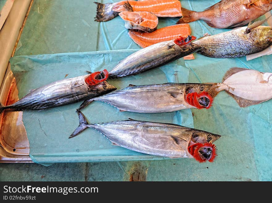 Fish stall