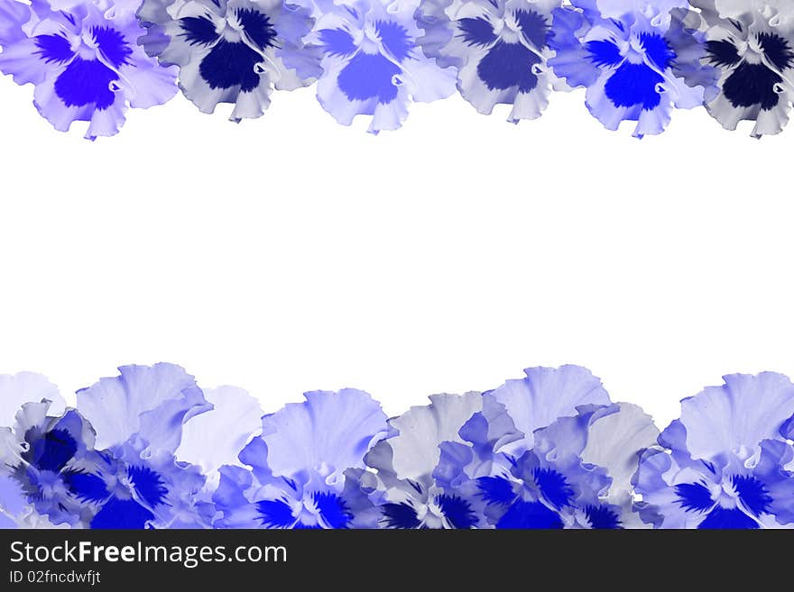 Frame with  blue violas isolaited. Frame with  blue violas isolaited