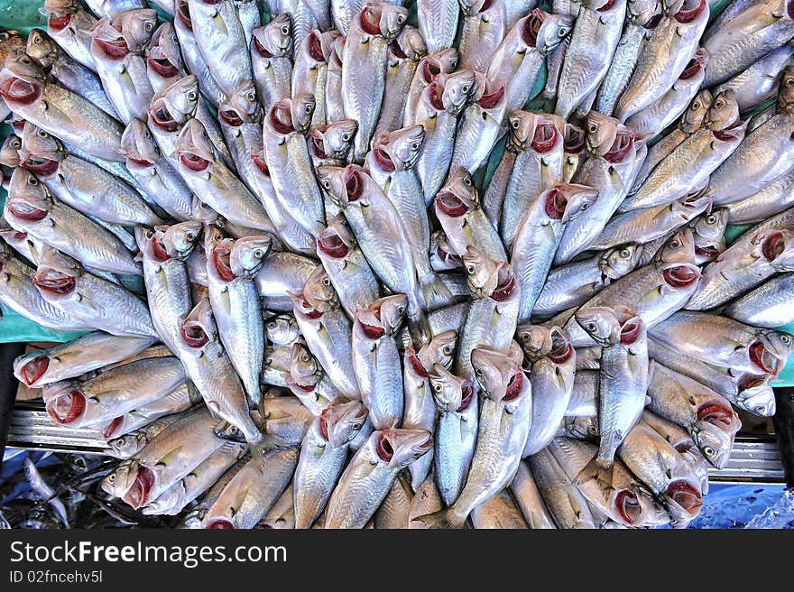 Fish stall